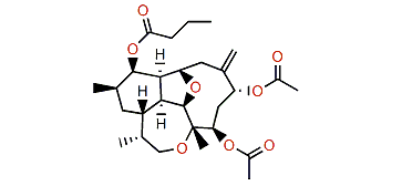 Asbestinin 5 acetate